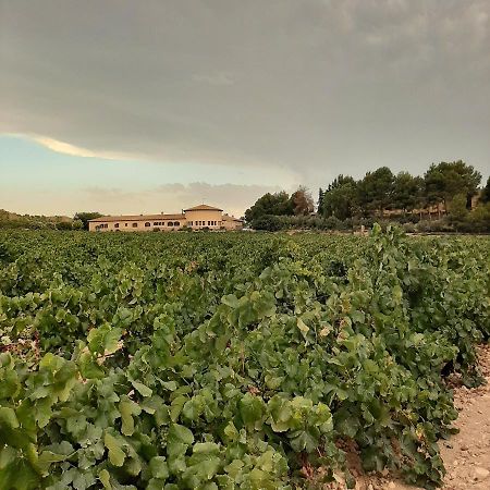 Hotel Enoturismo Mainetes Fuente-Álamo Exteriör bild